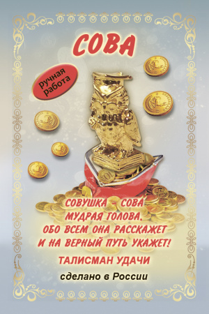 Кошельковый оберег Умная сова в кошелек 